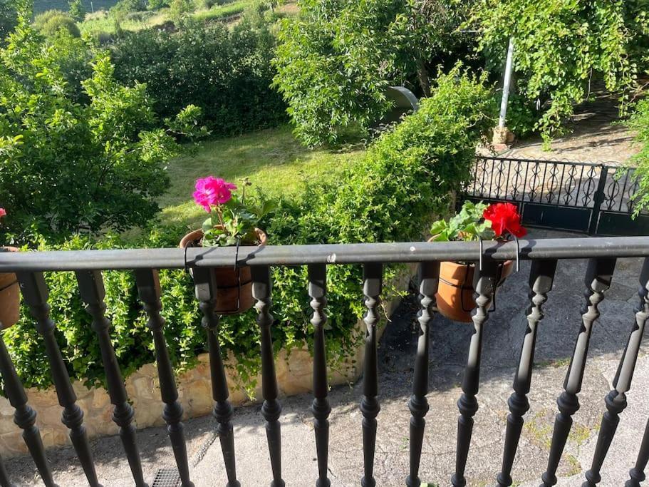 Casa A Boga Ribeira Sacra Abeleda Exterior foto