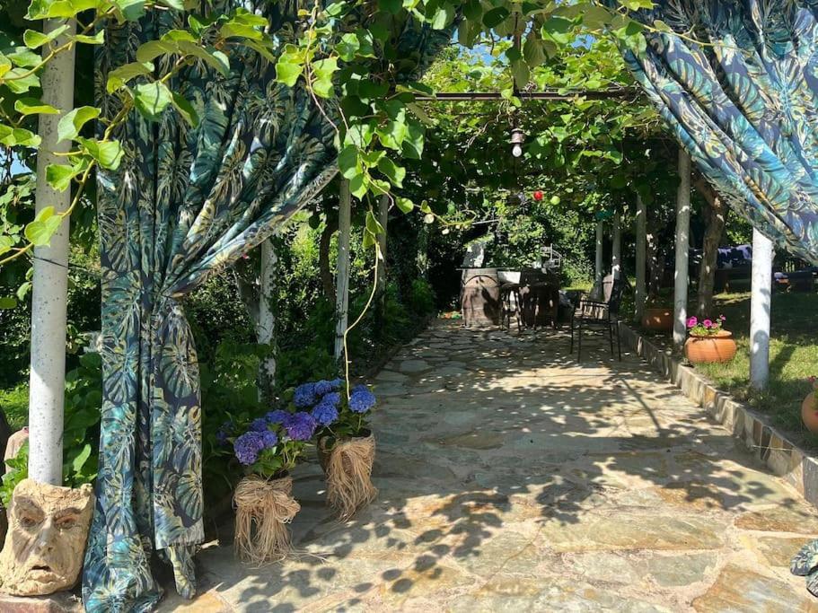 Casa A Boga Ribeira Sacra Abeleda Exterior foto