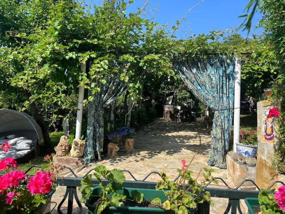 Casa A Boga Ribeira Sacra Abeleda Exterior foto
